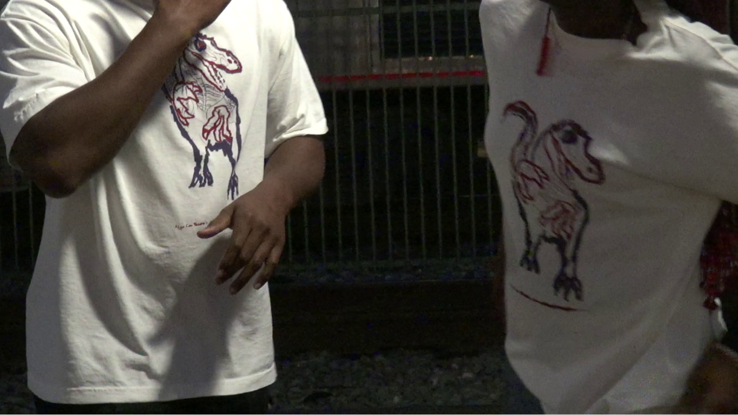 Faded Fossil Vagabond Raptor Tee Off White Purple Red